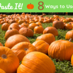 Don’t Waste It! 8 Ways to Use Pumpkins