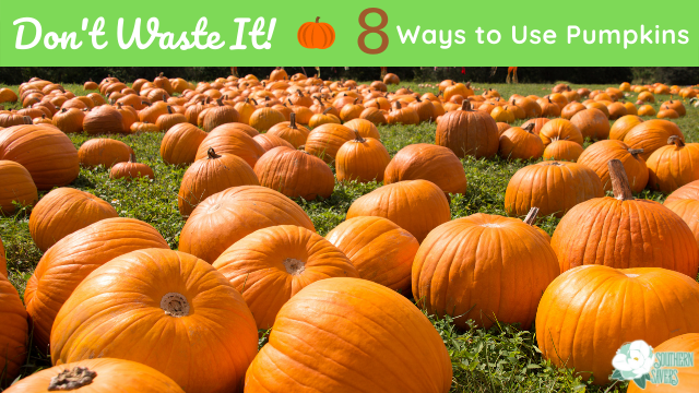 Don’t Waste It! 8 Ways to Use Pumpkins