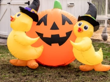Halloween Sale at Tractor Supply Co.: Up to 50% off + shipping varies