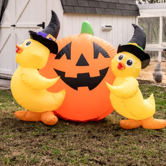 Halloween Sale at Tractor Supply Co.: Up to 50% off + shipping varies