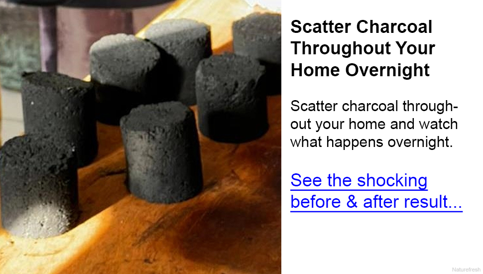 Feed Ads by FeedBlitz