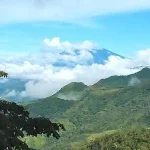 The Rise of Sustainable Travel: Eco-Friendly Options for Conscious Explorers