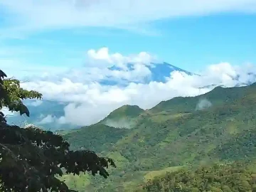 The Rise of Sustainable Travel: Eco-Friendly Options for Conscious Explorers