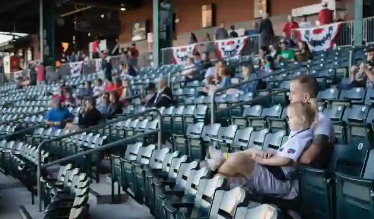 Is Vivid Seats Legit: Your Guide to Secure Ticket Purchases