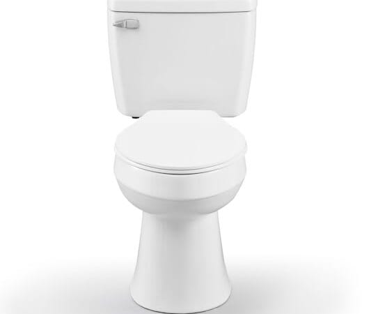Project Source Pro-Flush Elongated Chair Height 2-Piece WaterSense Toilet for $99 + free shipping