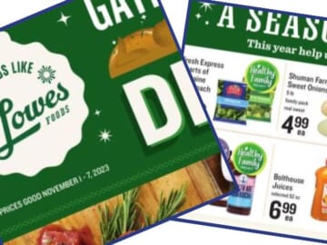 lowes foods weekly ad