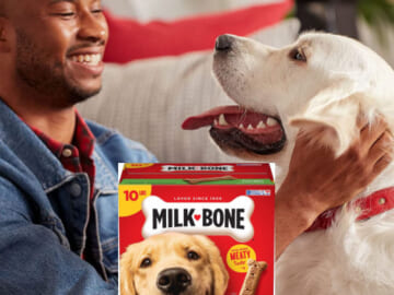 Milk-Bone Original Dog Treats Biscuits for Large Dogs, 10 Pounds as low as $9.74 After Coupon (Reg. $15) + Free Shipping