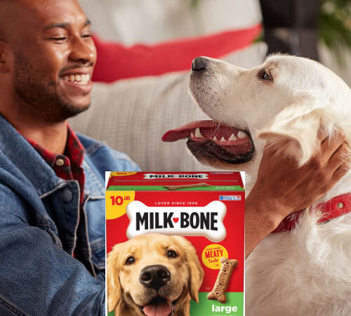 Milk-Bone Original Dog Treats Biscuits for Large Dogs, 10 Pounds as low as $9.74 After Coupon (Reg. $15) + Free Shipping