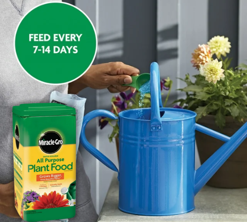 Miracle-Gro Water Soluble All Purpose Plant Food, 6.25 Lbs $9.98 (Reg. $24.47)