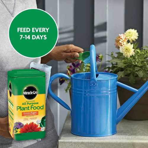 Miracle-Gro Water Soluble All Purpose Plant Food, 6.25 Lbs $9.98 (Reg. $24.47)