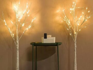 4-FT Lighted Birch Tree, 2-Pack $38.39 After Coupon (Reg. $63.99) + Free Shipping – $19.20 Each
