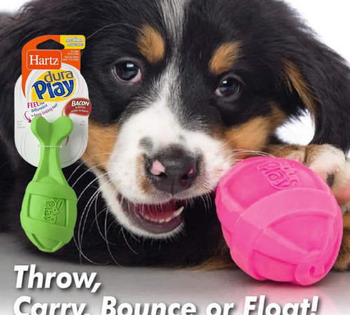 Hartz Dura Play 3-Pack Bacon Scented Rocket Dog Toy, Medium $6.99 (Reg. $12.25) – $2.33/Toy – LOWEST PRICE