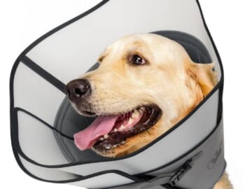 Dog Cone for After Surgery, Large $10.40 After Code + Coupon (Reg. $26)