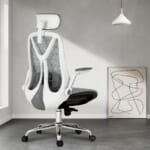 Ergonomic Adjustable Mesh Chair for $89 + free shipping