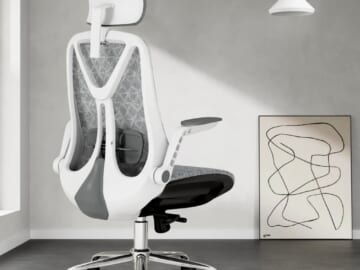 Ergonomic Adjustable Mesh Chair for $89 + free shipping