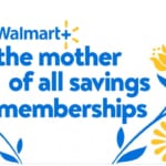 1 Year Walmart+ Membership for only $49 (reg. $99)