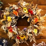 Thanksgiving Season ShopUSA.com