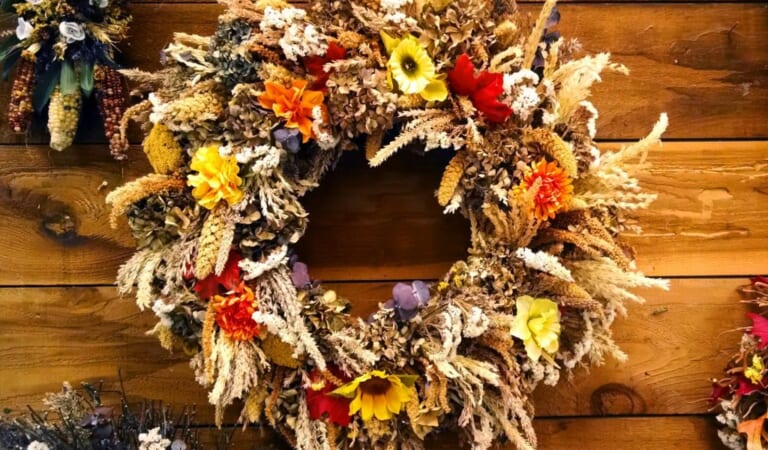 Thanksgiving Season ShopUSA.com