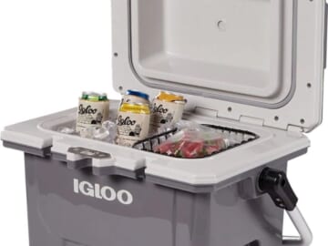 Igloo IMX 24-Quart Cooler for $95 + free shipping
