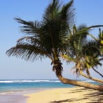 Dominican Republic Vacations at Southwest Vacations: $100 off