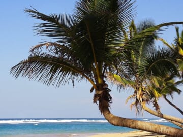 Dominican Republic Vacations at Southwest Vacations: $100 off