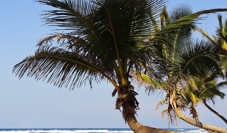 Dominican Republic Vacations at Southwest Vacations: $100 off