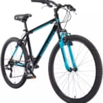 Bikes at Dick's Sporting Goods: Up to $900 off + free expert assembly + pickup