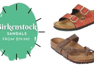 Rue La La | $79.99 Birkenstock Styles