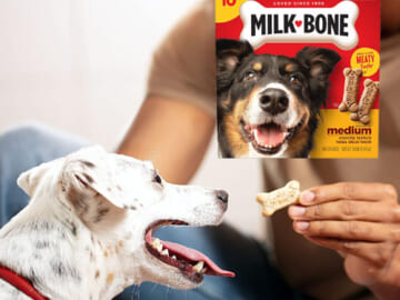 Milk-Bone Original Dog Biscuits, Medium Crunchy Dog Treats, 10 Pound as low as $9.74 After Coupon (Reg. $14.98) + Free Shipping