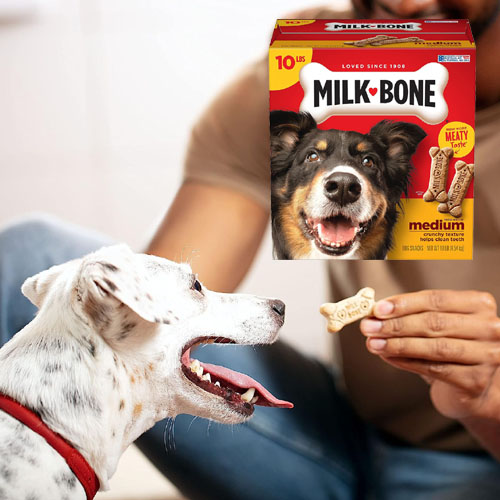 Milk-Bone Original Dog Biscuits, Medium Crunchy Dog Treats, 10 Pound as low as $9.74 After Coupon (Reg. $14.98) + Free Shipping