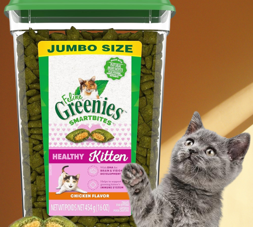 Greenies 1-Pound Smartbites for Kittens Treats, Chicken as low as $7.19 After Coupon (Reg. $20) + Free Shipping