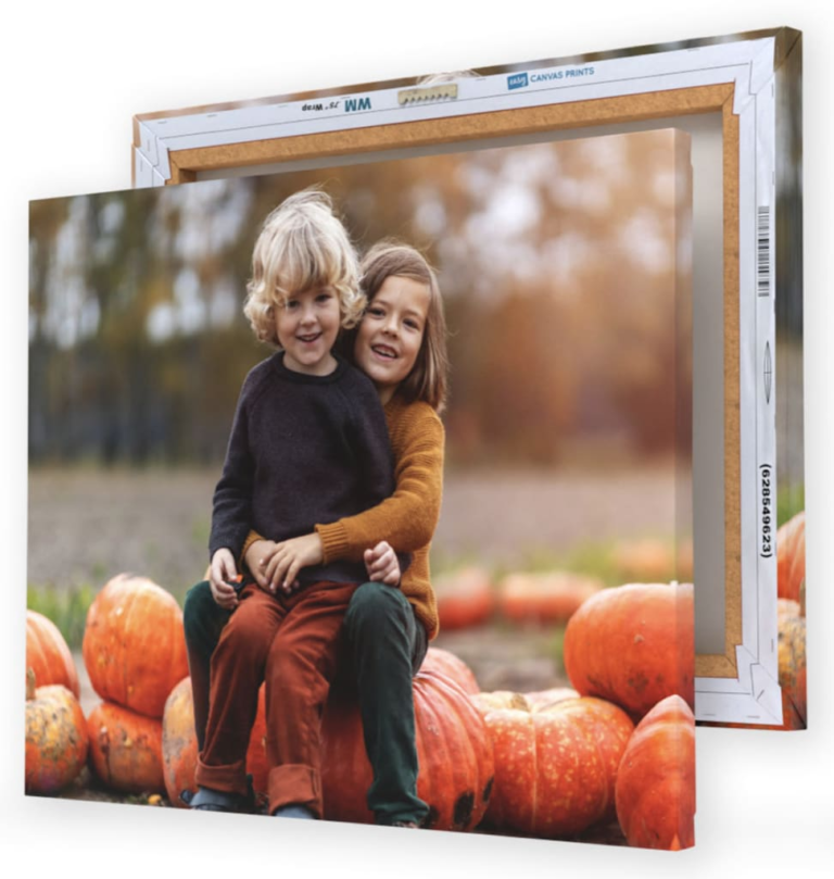 16x20" Custom Canvas Photo Prints for $20 + free shipping
