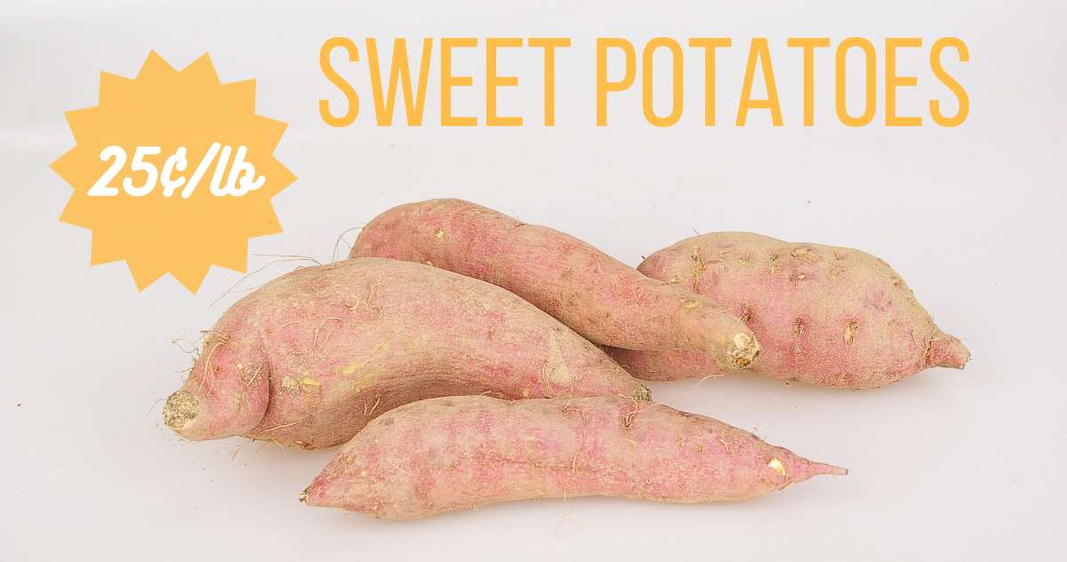 Pick Up Sweet Potatoes as Low as 25¢/lb. at Stores All Over Town