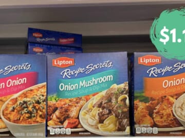 Lipton Recipe Soup Mixes for $1.14 at Publix