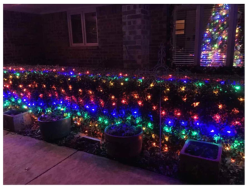 100-LED Christmas Multicolor Net Lights 4-Pack for $15 + free shipping
