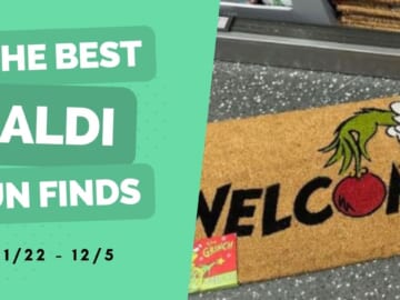 Aldi Fun Finds | Black Friday Edition!