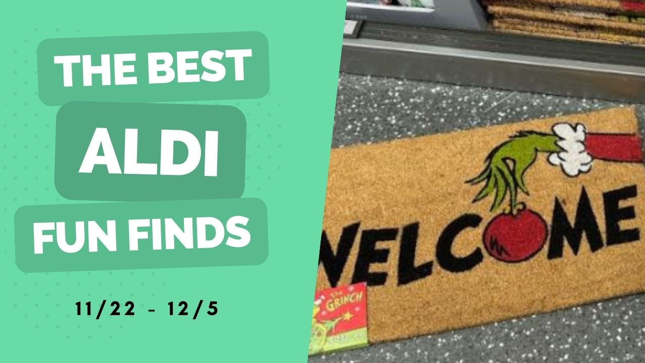 Aldi Fun Finds | Black Friday Edition!