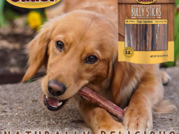 Cadet Long Lasting Bully Sticks 12-Oz Premium Dog Treat as low as $16.20 After Coupon (Reg. $40.50) + Free Shipping – For Aggressive Chewers