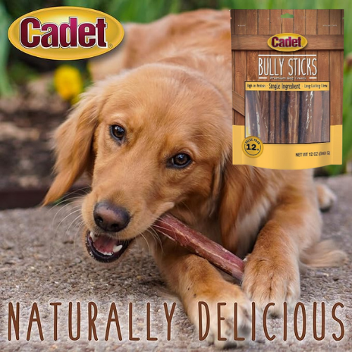 Cadet Long Lasting Bully Sticks 12-Oz Premium Dog Treat as low as $16.20 After Coupon (Reg. $40.50) + Free Shipping – For Aggressive Chewers