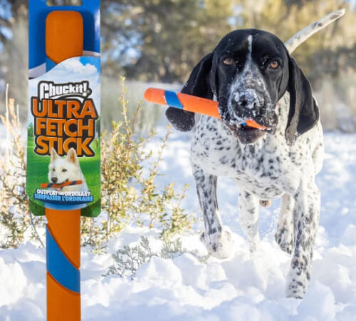 Chuckit! Ultra Fetch Stick Outdoor Dog Toy $4.31 (Reg. $11) –  for All Breed Sizes