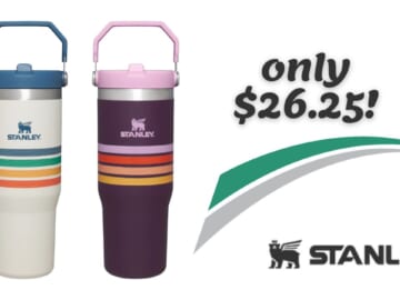 Stanley Retro Varsity IceFlow Flip 30oz. Tumbler Now $26.25!!