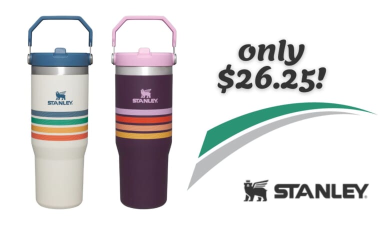 Stanley Retro Varsity IceFlow Flip 30oz. Tumbler Now $26.25!!
