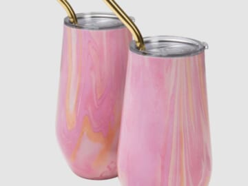 Insulated 16-Ounce Tumbler 2-Pack for just $12 shipped! {Black Friday Deal}