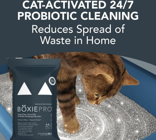 Amazon Black Friday! BoxiePro Deep Clean Probiotic Clumping Clay Cat Litter, Scent Free, 40 lb as low as $18.89 Shipped Free (Reg. $42)