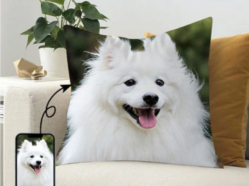 Custom Pillow Cover: 2 for $9 + free shipping