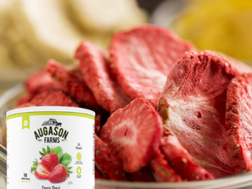 Augason Farms 18-Serving Freeze Dried Sliced Strawberries $17.98 (Reg. $35) – $1/Serving – Up to a 30 Year Shelf Life!