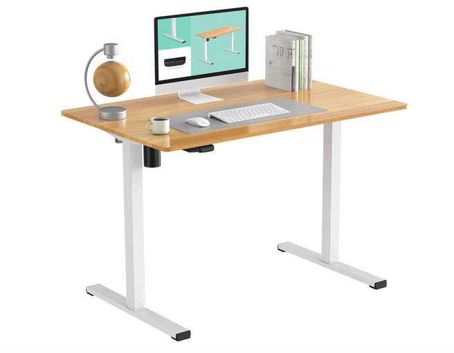 FLEXISPOT Standing Desk