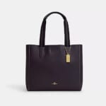 Coach Derby Tote for $92 in-cart + free shipping