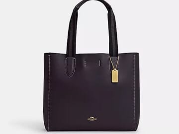 Coach Derby Tote for $92 in-cart + free shipping