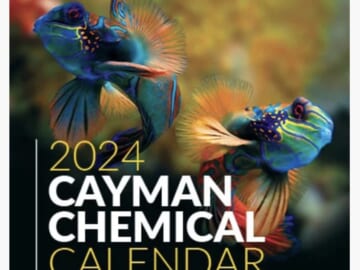 FREE 2024 Cayman Calendar